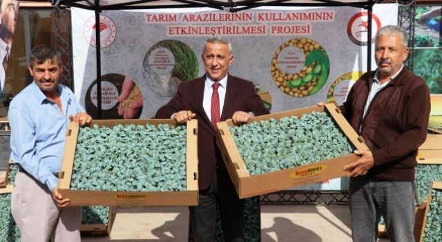 Çeltik Üreticilerine Yüzde 67 Hibeli Brokoli Fidesi Dağıtıldı