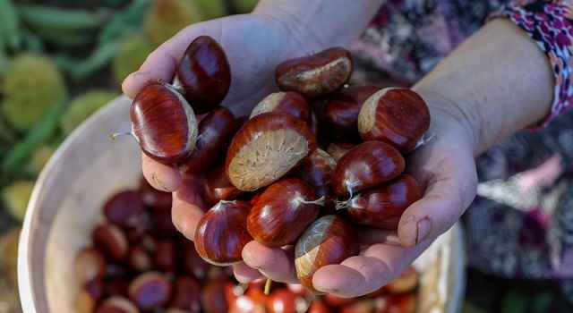 Yeni Yıl Öncesi Kuruyemiş Fiyatları Uçuşa Geçti: Tüketici ve Esnaf Zor Durumda