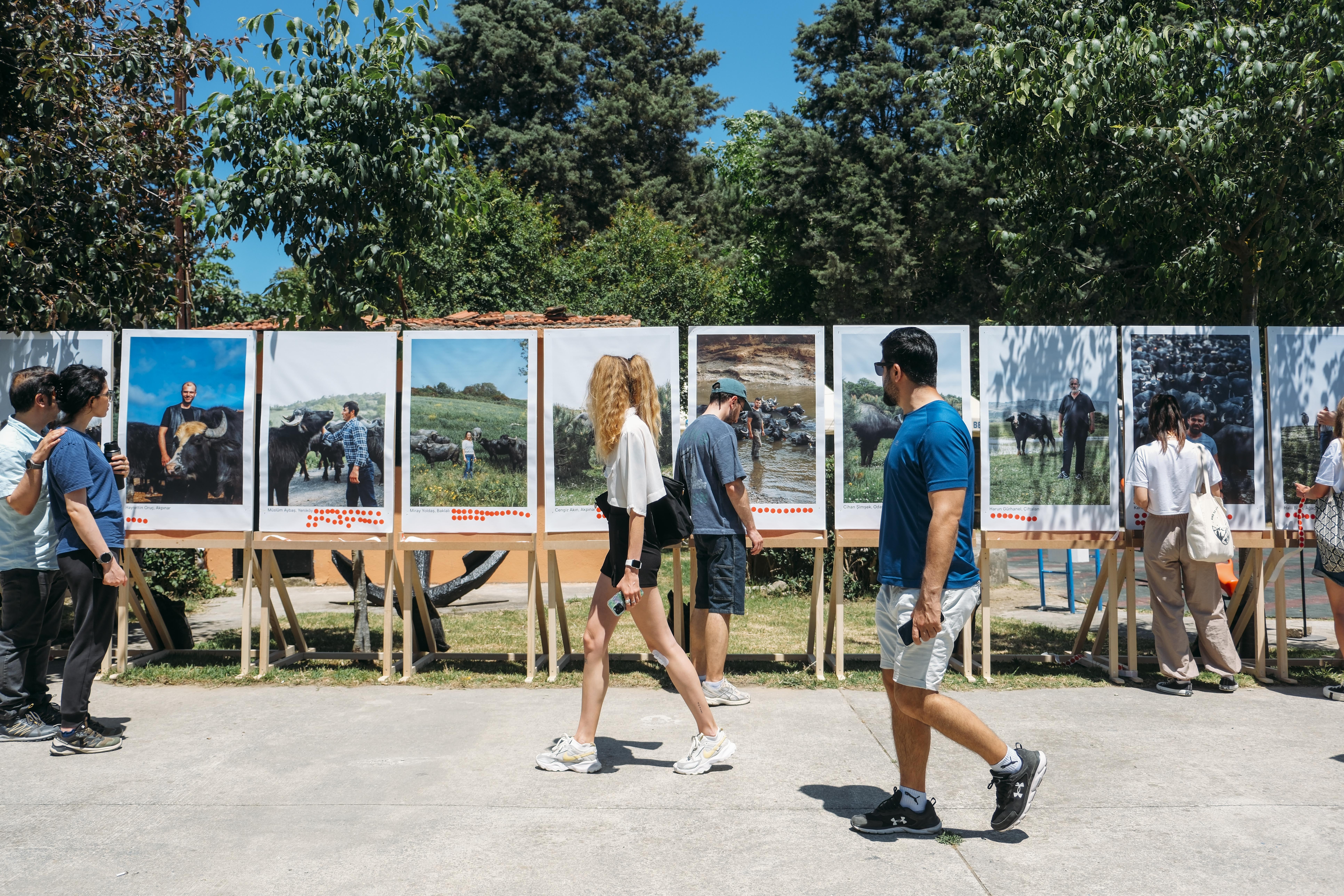 İstanbul'un sulak alanlarının geleceği için 3. Manda Festivali düzenlendi