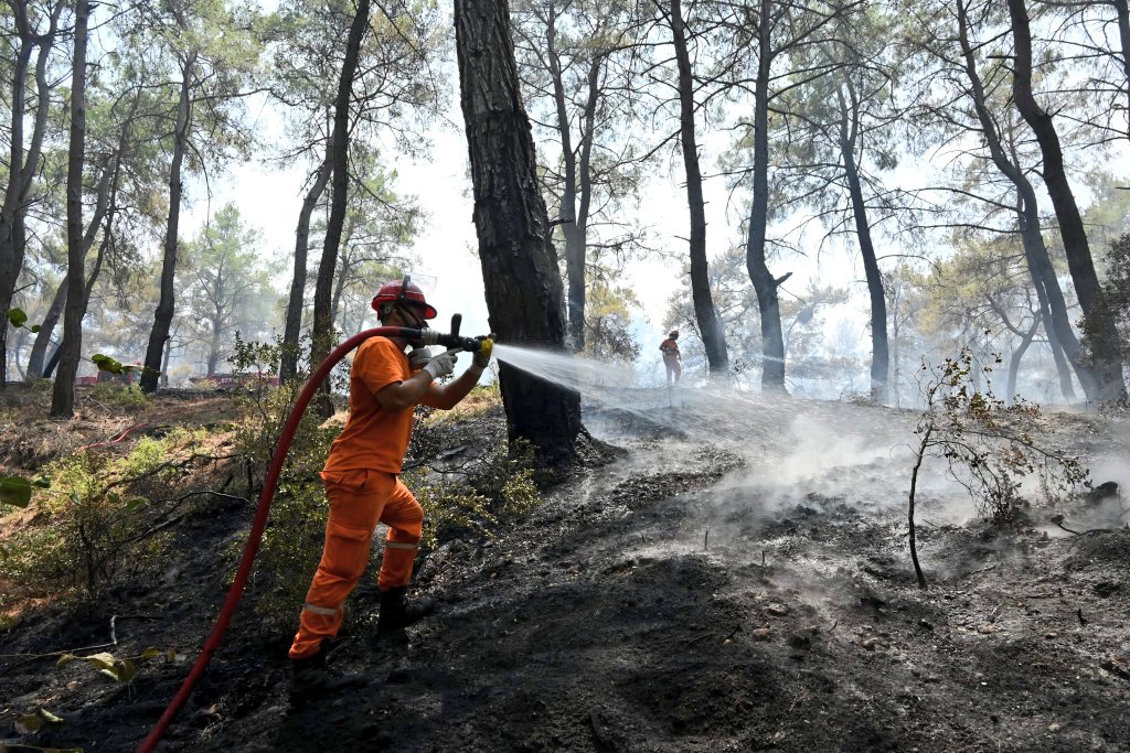 HASAT MEVSİMİNDE ORMAN YANGIN ALARMI