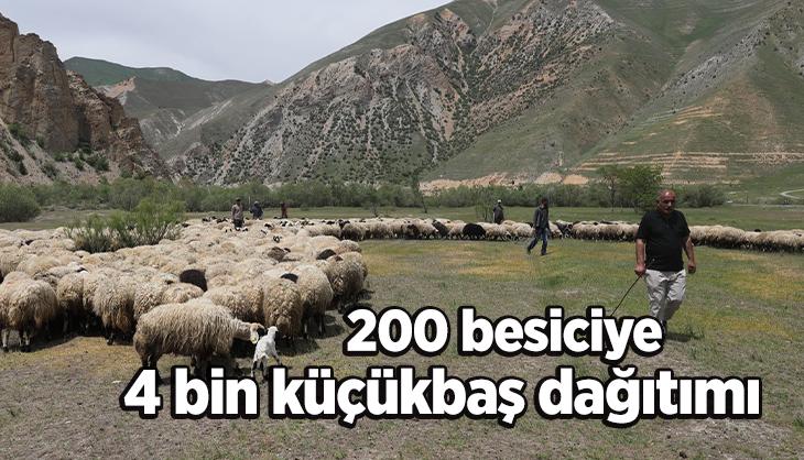 200 besiciye 4 bin küçükbaş hayvan dağıtımı