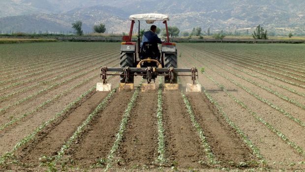 Tarımsal girdi enflasyonunda yükseliş sürüyor