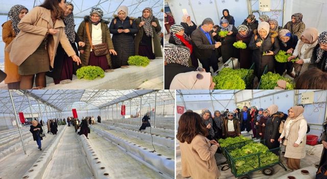 Topraksız tarım projesine kadın çiftçilerden yoğun ilgi