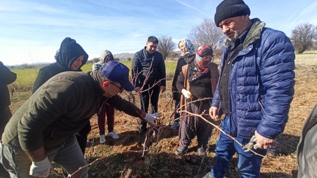 Elazığ’da Kadın Üreticilere Bağcılık Eğitimi Verildi