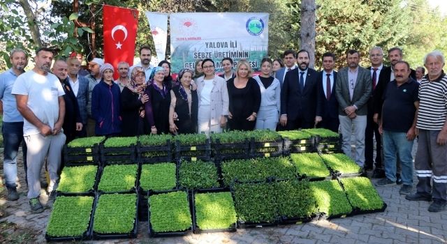 65 Çiftçiye 500 Bini Aşkın Fide Dağıtıldı 