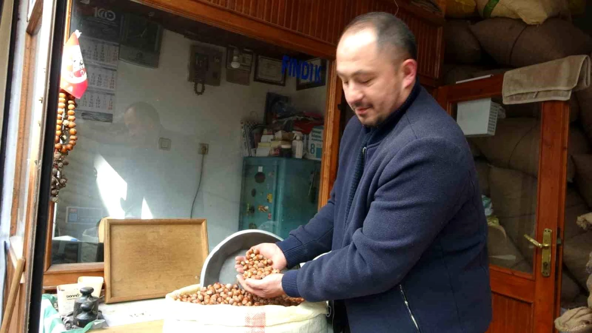 Fındık rekolte tahminleri serbest piyasayı kontrol etmek için yapılıyor iddiası