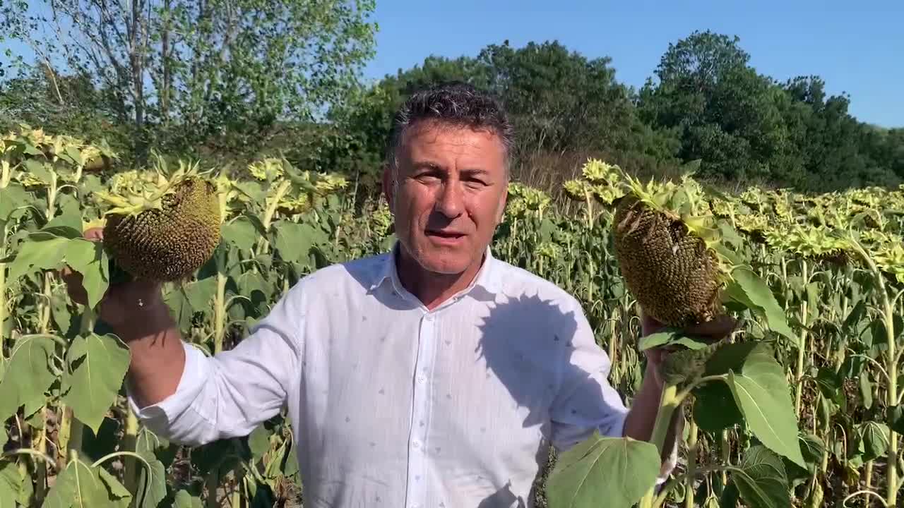 ​CHP BURSA MİLLETVEKİLİ ORHAN SARIBAL: “AYÇİÇEĞİNDE ALIM FİYATI MALİYETİN ALTINDA, ÜRETİCİ ZARARDA
