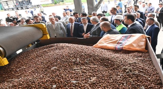 Bakan Yumaklı: Giresun fındığı dünya markası oldu  