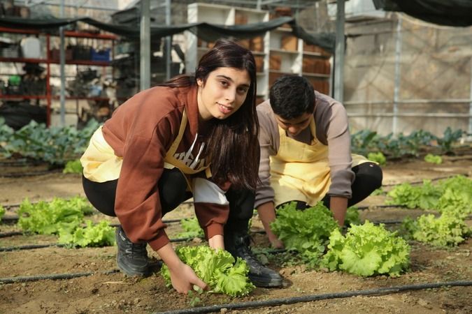 Nilüfer Belediyesi ekolojik tarım koşullarında ürünler yetiştirdi