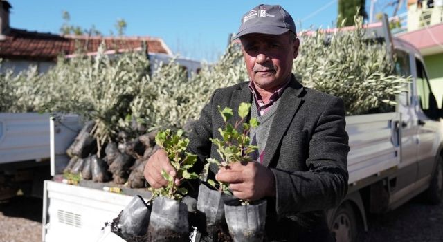 Büyükşehir’den yangında zarar gören üreticilere fidan desteği  