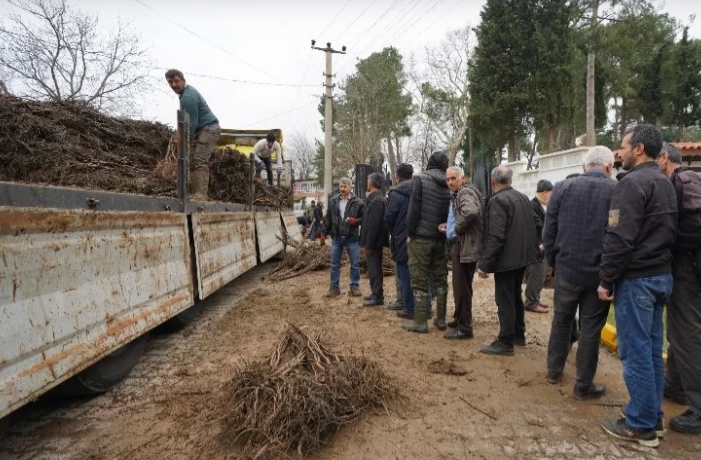 Üreticiler meyveciliğe yöneldi