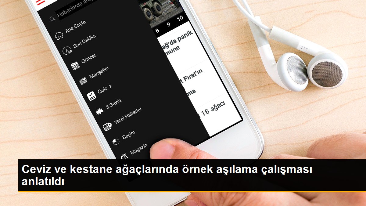 Ceviz ve kestane ağaçlarında örnek aşılama çalışması anlatıldı