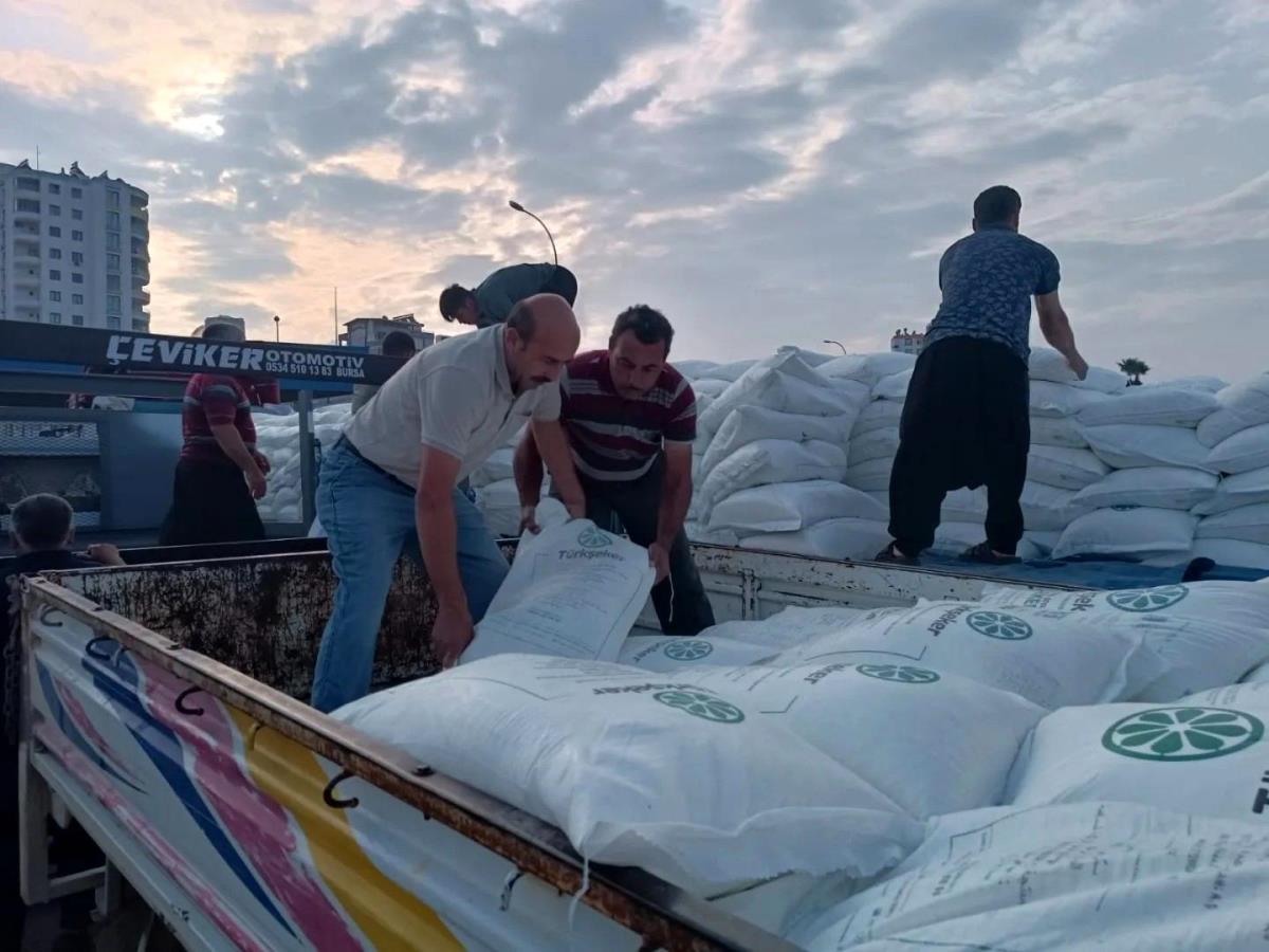 Arı yetiştiricilerine hibe edilen 800 ton şeker dağıtılıyor