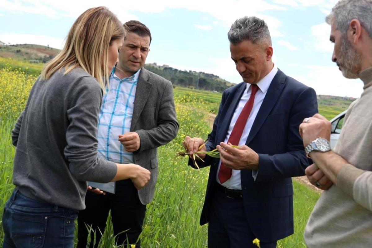 Bilecik İl Tarım ve Orman Müdürlüğü, Hububat Ekim Alanlarında Fenolojik Gözlem Yaptı