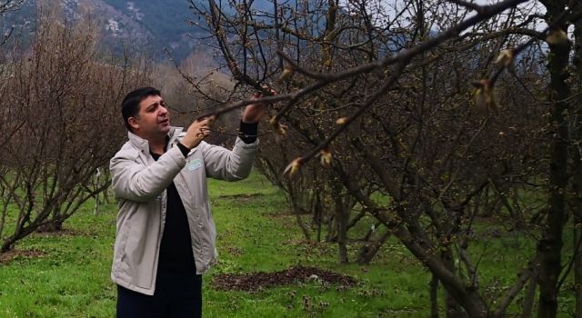 Fındık Bahçelerinde Kontrol ve Üreticileri Bilgilendirme Çalışmaları Devam Ediyor  