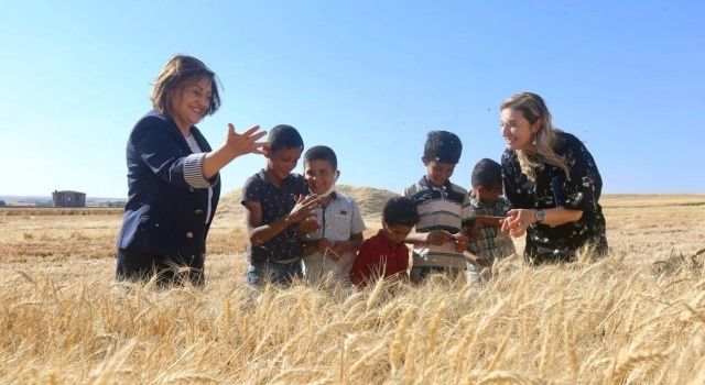 Gaziantep Büyükşehir, Tarımsal Üretime Desteğini Sürdürüyor  