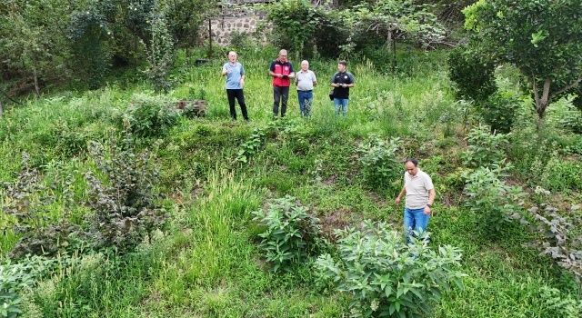 Giresun’da Fındık Sektörü ve Tarımsal Projeler Masaya Yatırıldı 