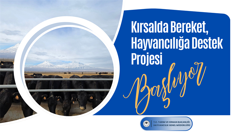 Kırsalda Bereket, Hayvancılığa Destek Projesi Kriter ve Başvuru Şartları