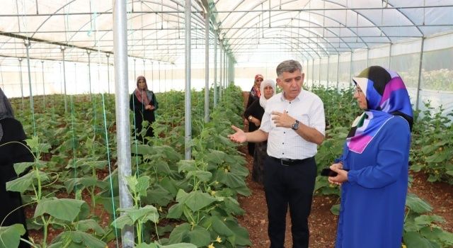 Hibe Edilen Seralardan İlk Ürünler Alınıyor  