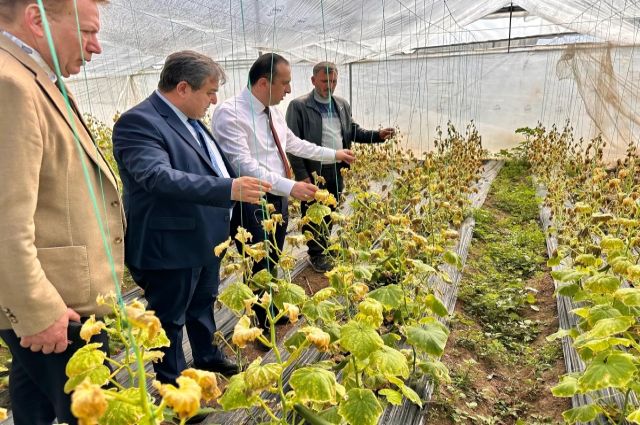 Mersin'de Zirai Don Zararından Etkilenen Üreticilere Geçmiş Olsun Ziyaretleri Gerçekleştirildi 