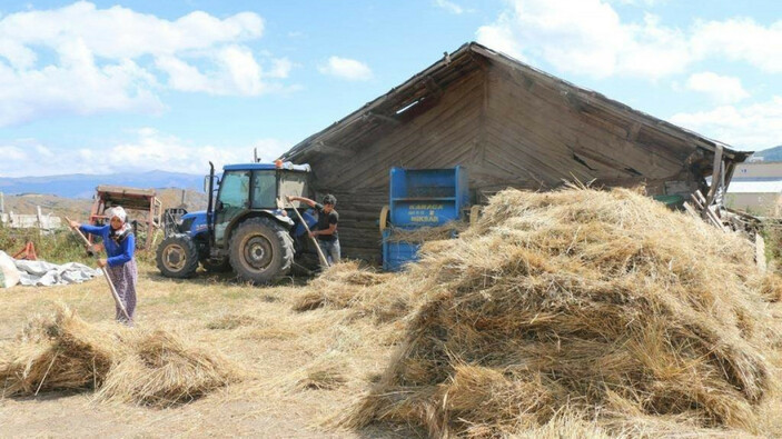 Ordu'da atıl araziler tarıma açıldı