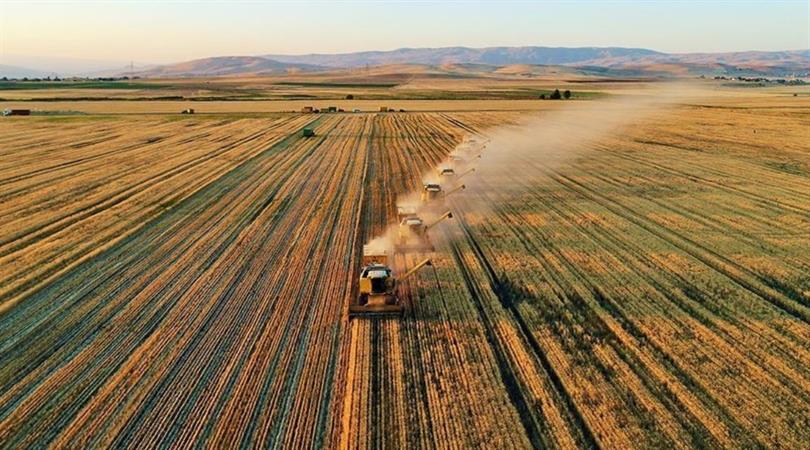 İran’dan turunçgil, süs bitkisi ve badem ithalatı yasaklandı