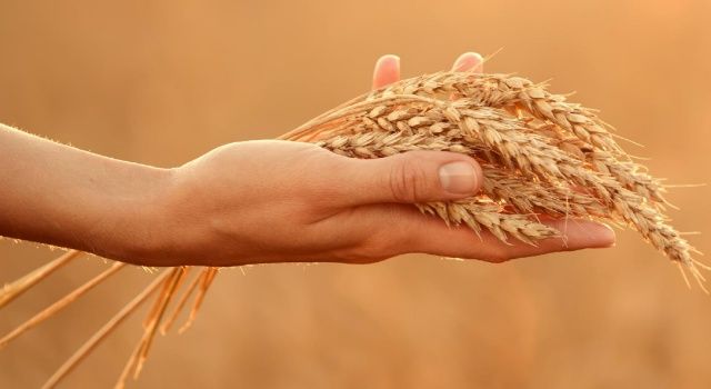 Tarım üretici enflasyonu yıllık yüzde 76,35 arttı  