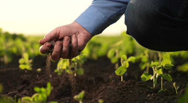 TEMA Vakfı: Sağlıklı yaşam için sağlıklı topraklara ihtiyacımız var!  