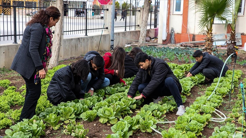 Meslek liseliler tarım uygulamalarını sebze yetiştirerek öğreniyor