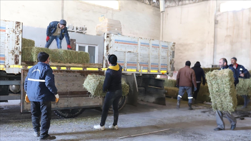 Küçükbaş hayvan yetiştiricileri için yem desteği talebi