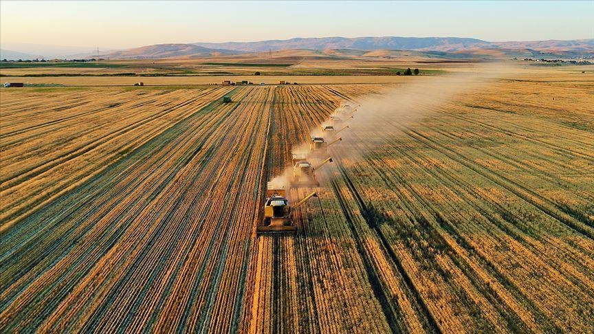 Tarımdaki yeni düzenlemeler Türkiye'nin bu alandaki potansiyelinin değerlendirilmesini sağlayacak