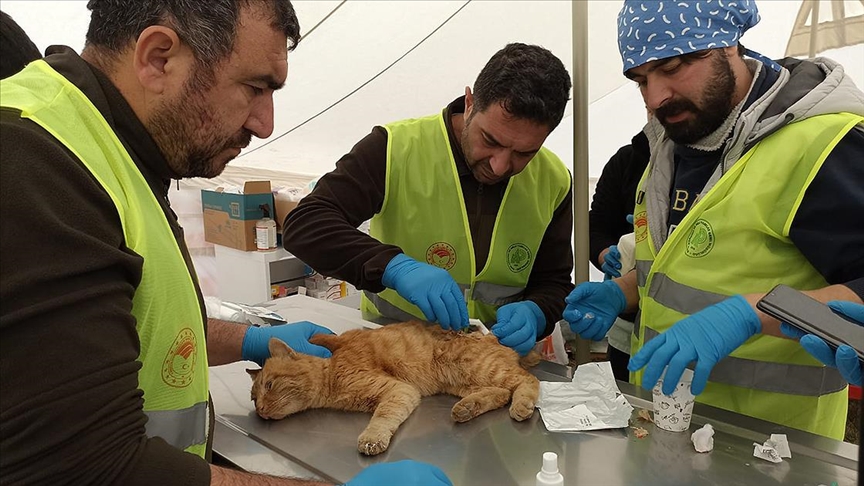 Tarım ve Orman Bakanlığı deprem bölgesindeki 