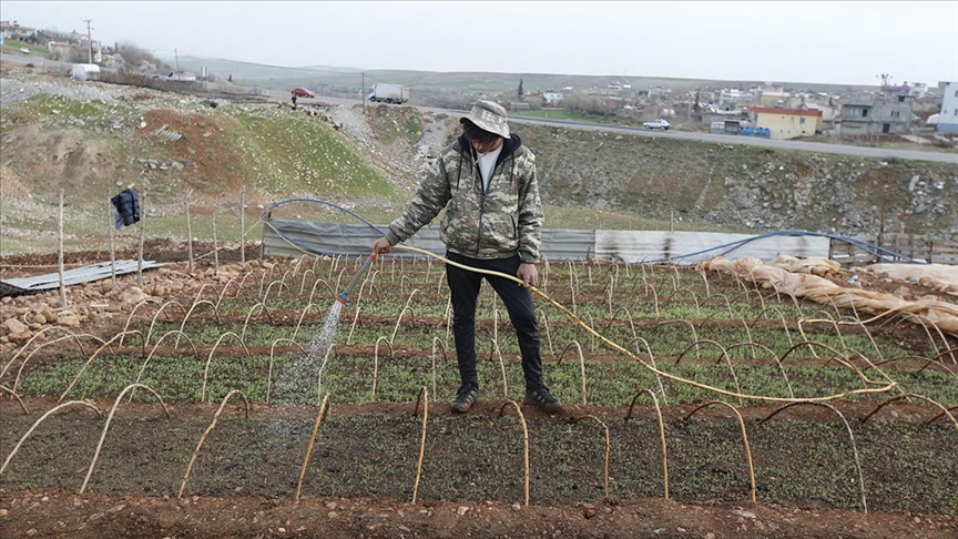  Adıyaman'da çiftçilerin mesaisi başladı