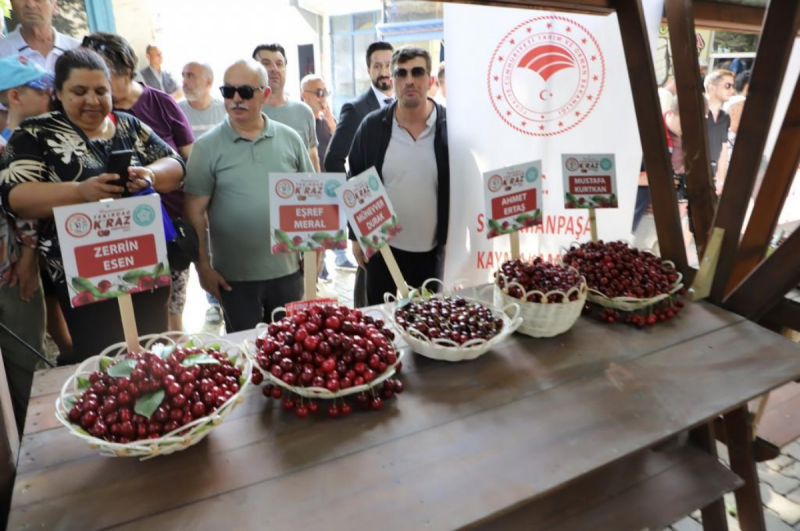 Tekirdağ'da 59. Uluslararası Kiraz Festivali  Başladı  