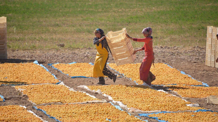 Kırsala 20 milyar liralık yeni yatırım geliyor